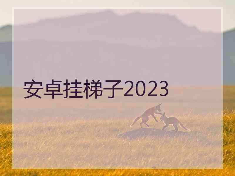 安卓挂梯子2023
