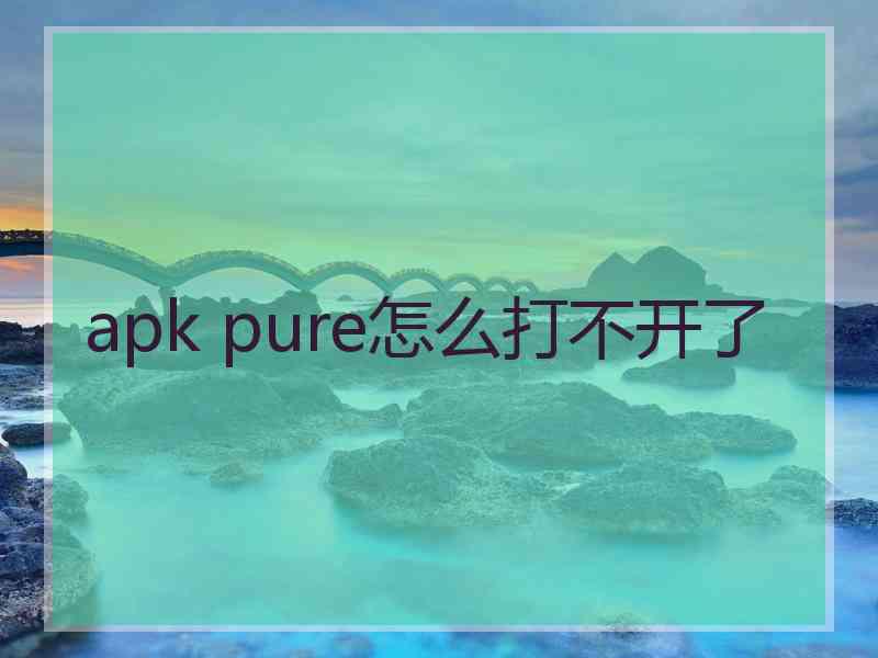 apk pure怎么打不开了