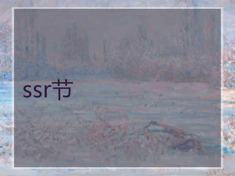 ssr节