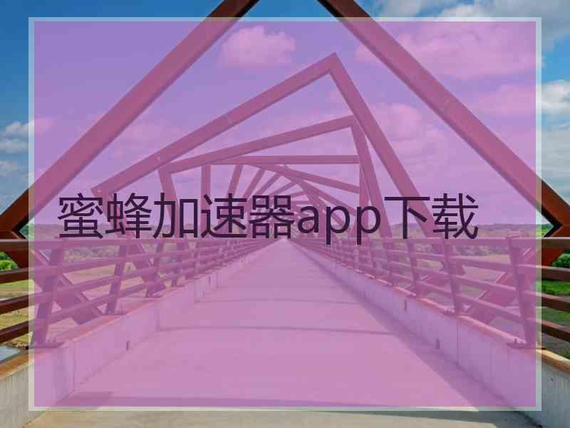 蜜蜂加速器app下载