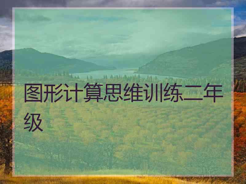 图形计算思维训练二年级