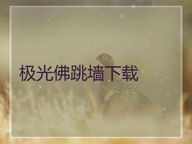 极光佛跳墙下载