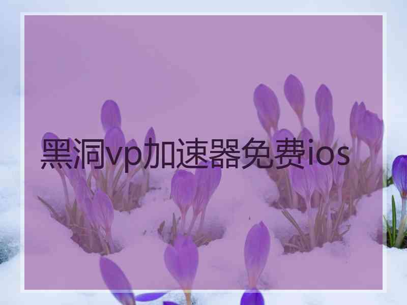 黑洞vp加速器免费ios