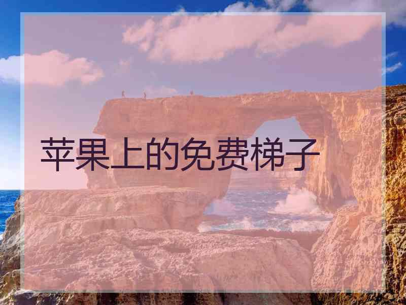 苹果上的免费梯子