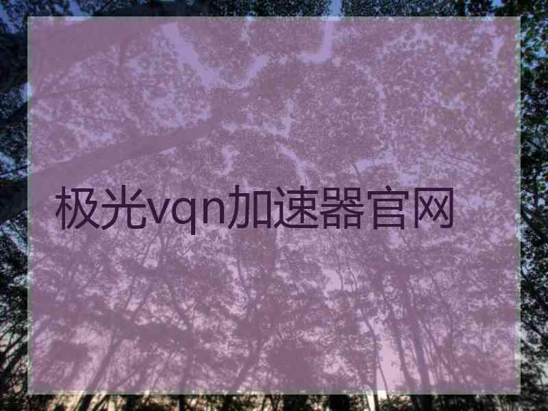 极光vqn加速器官网