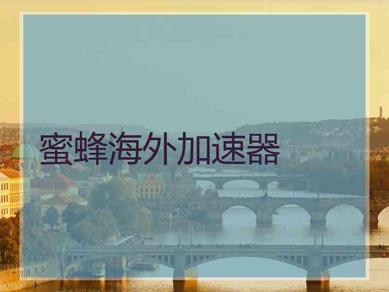 蜜蜂海外加速器