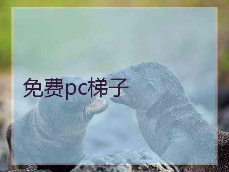 免费pc梯子