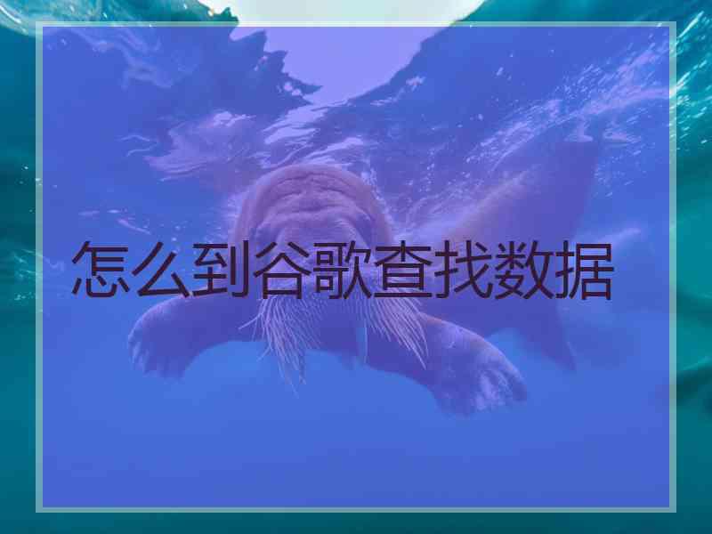 怎么到谷歌查找数据