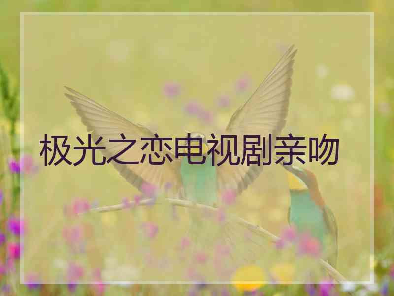 极光之恋电视剧亲吻