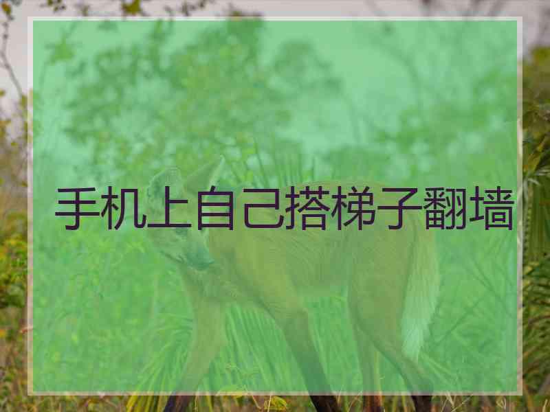 手机上自己搭梯子翻墙