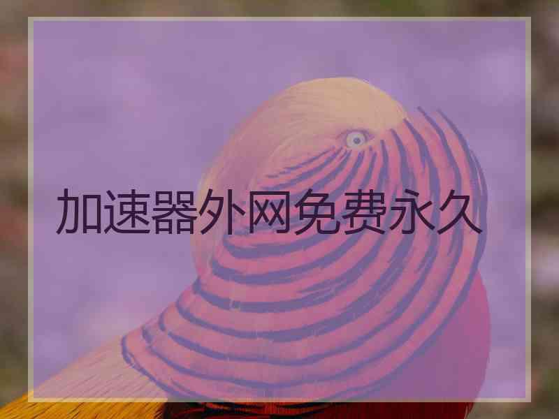 加速器外网免费永久