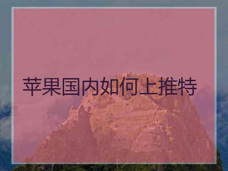 苹果国内如何上推特