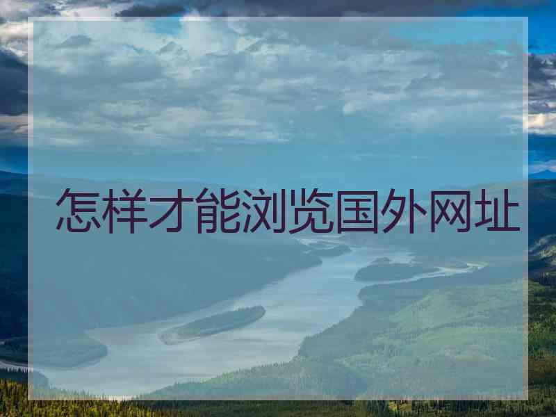 怎样才能浏览国外网址