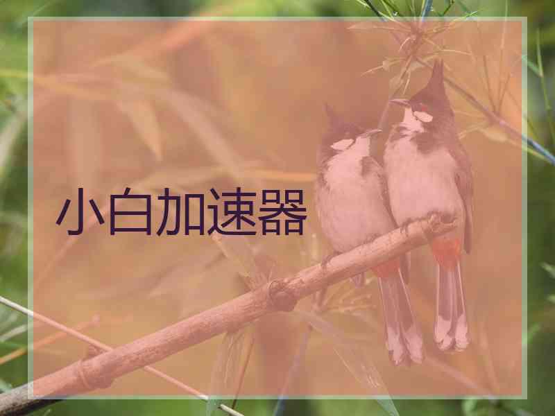 小白加速器