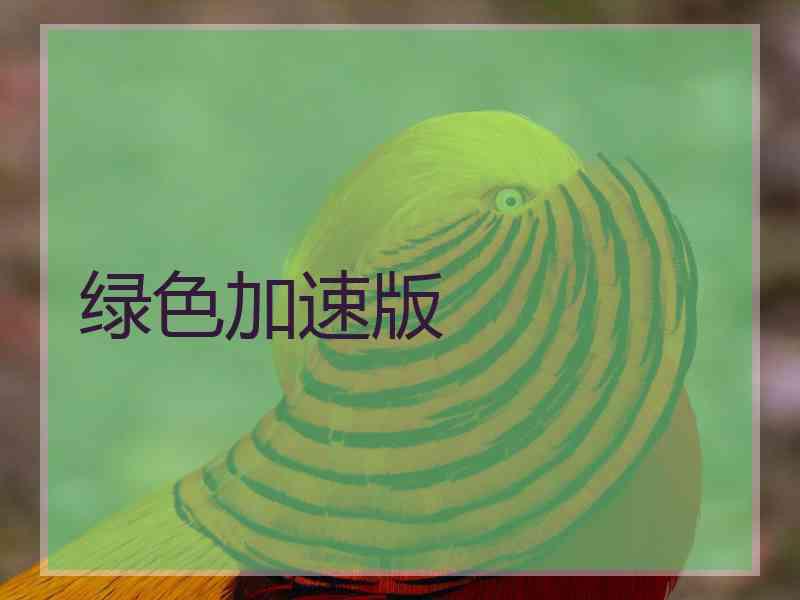 绿色加速版