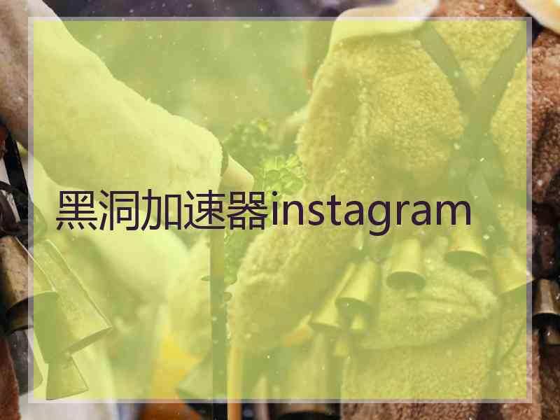 黑洞加速器instagram