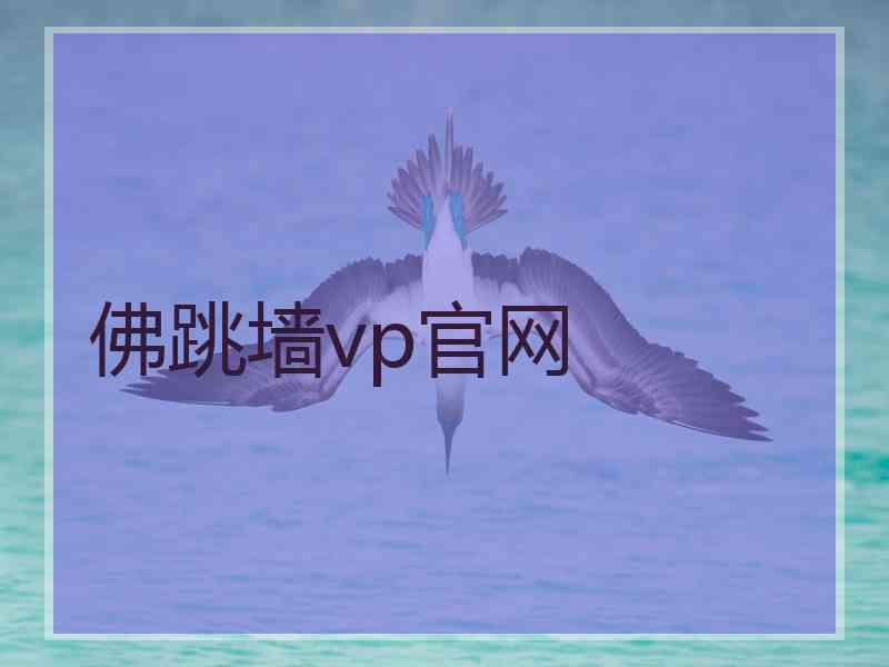 佛跳墙vp官网