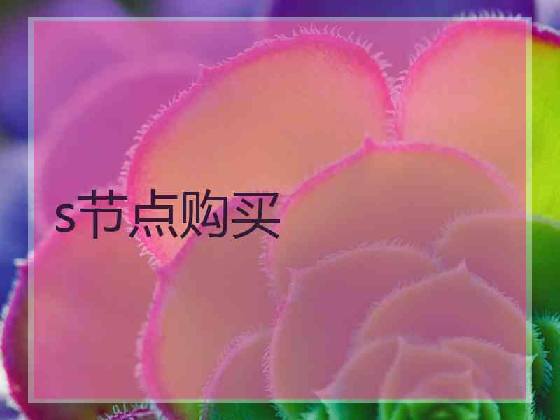 s节点购买