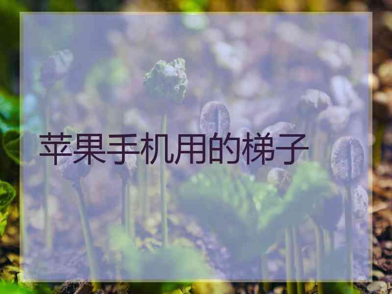 苹果手机用的梯子