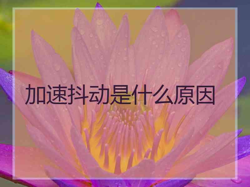 加速抖动是什么原因