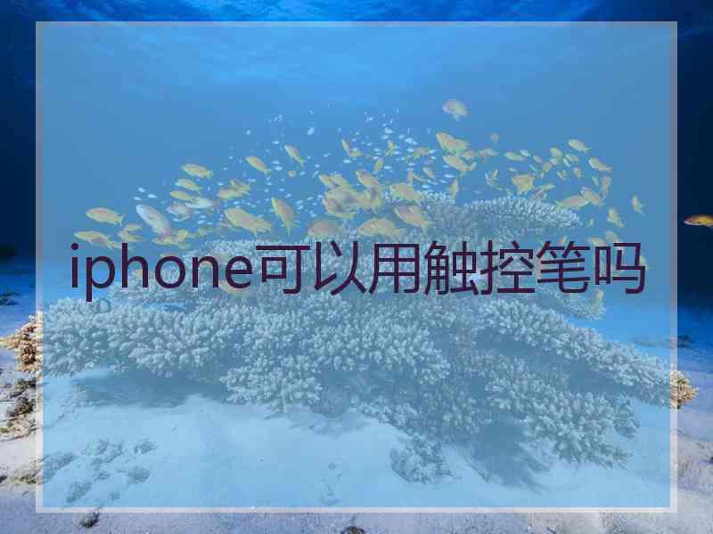 iphone可以用触控笔吗