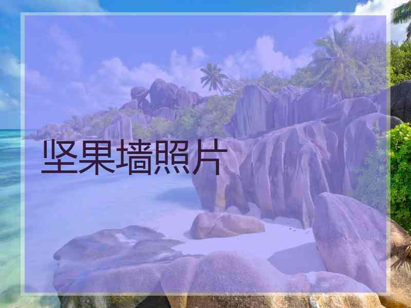 坚果墙照片