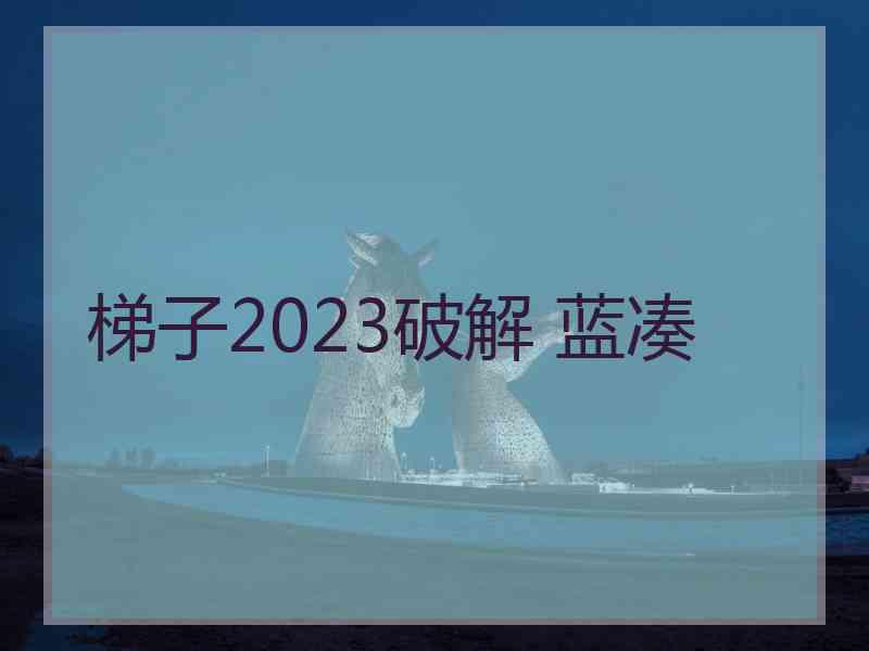 梯子2023破解 蓝凑