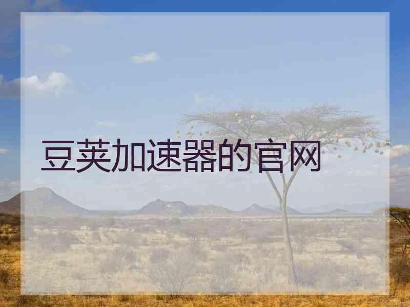 豆荚加速器的官网