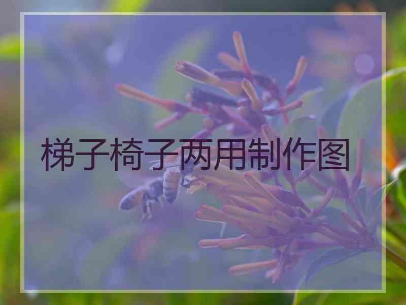 梯子椅子两用制作图