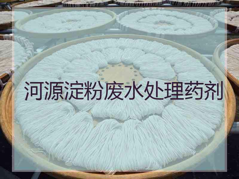 河源淀粉废水处理药剂