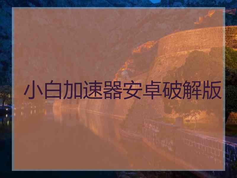 小白加速器安卓破解版