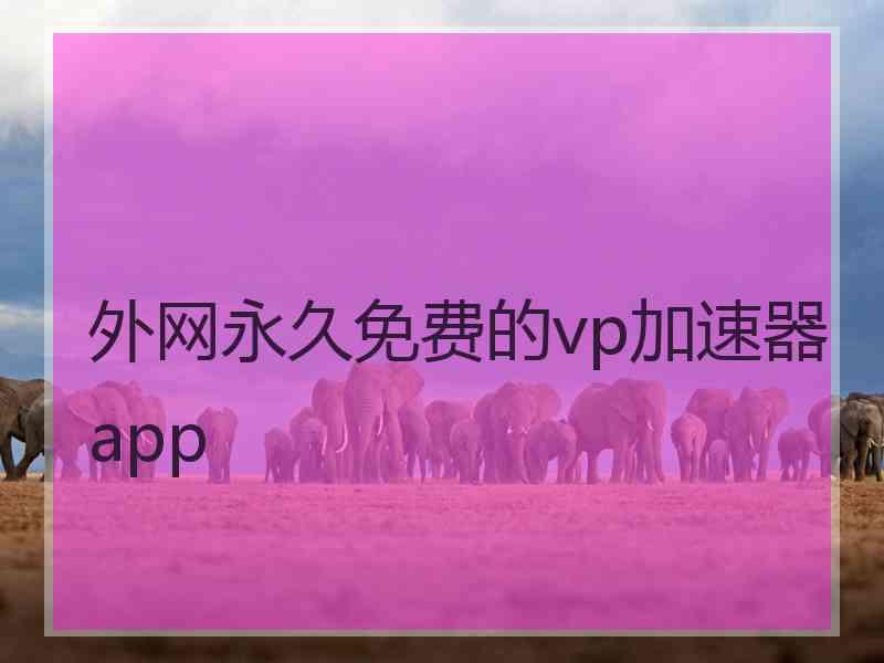 外网永久免费的vp加速器app