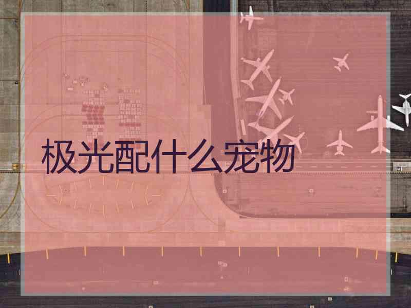 极光配什么宠物 极光配什么宠物