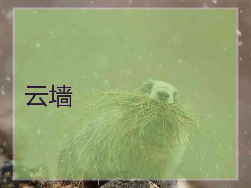 云墙