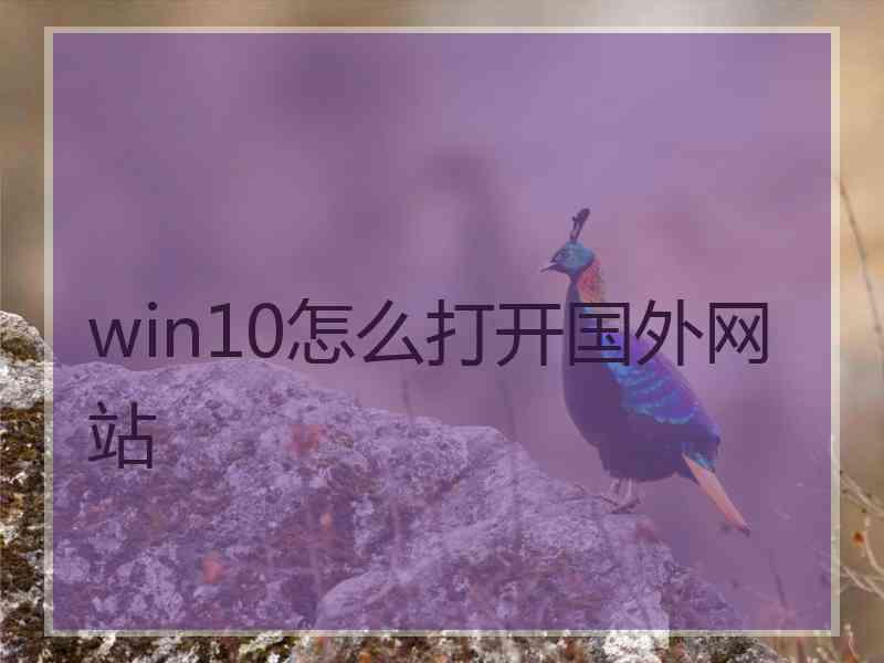 win10怎么打开国外网站
