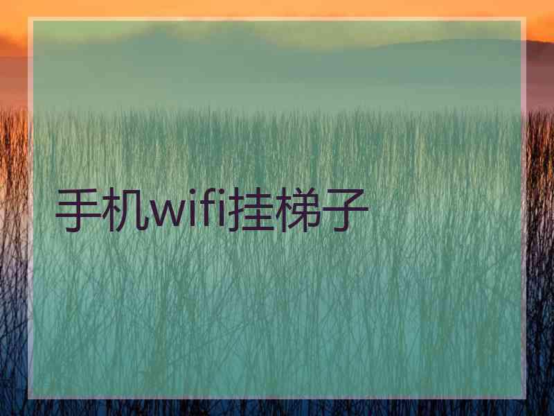 手机wifi挂梯子