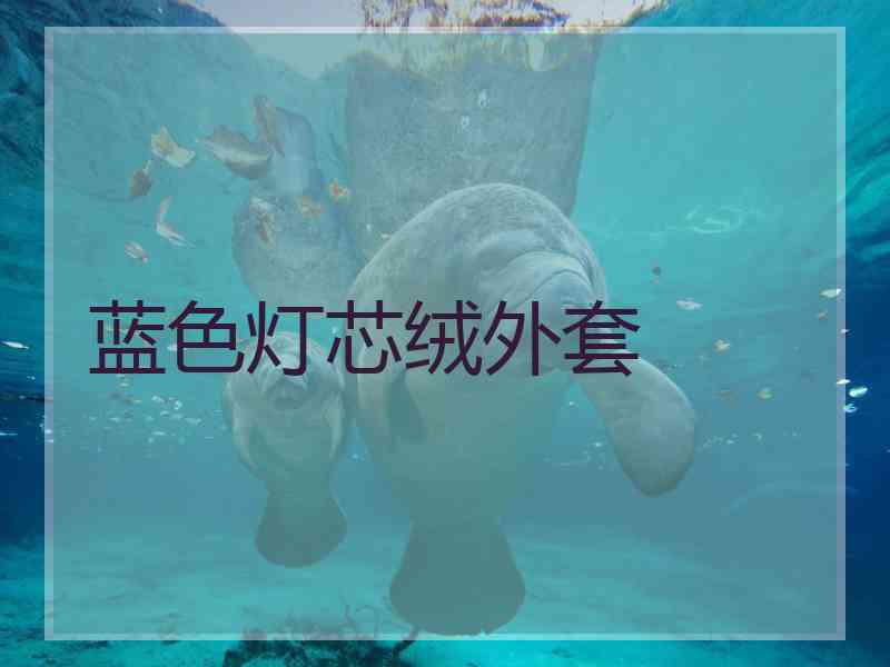 蓝色灯芯绒外套