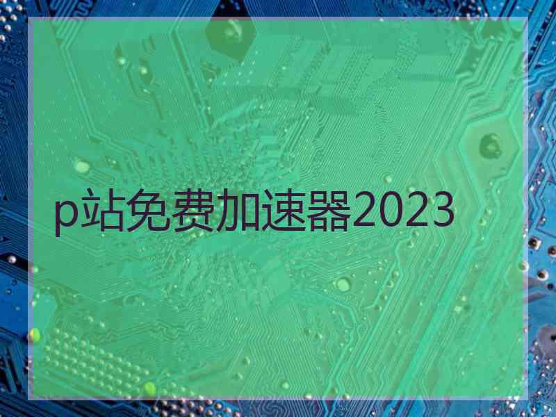 p站免费加速器2023
