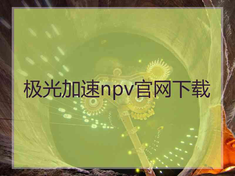 极光加速npv官网下载