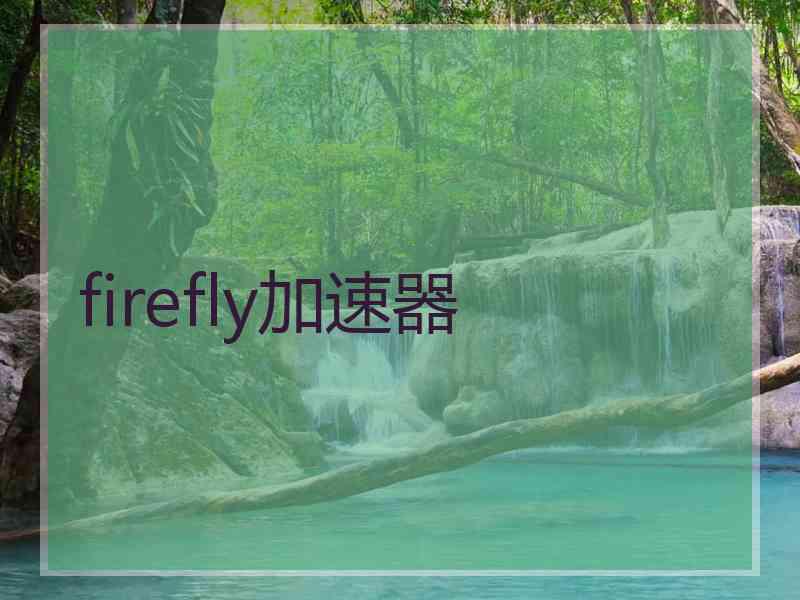 firefly加速器
