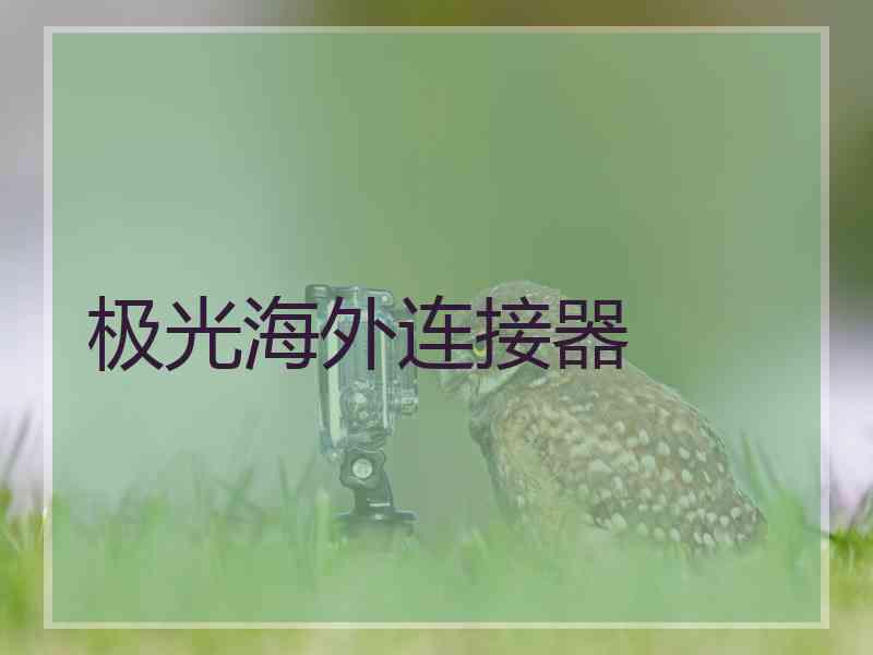 极光海外连接器