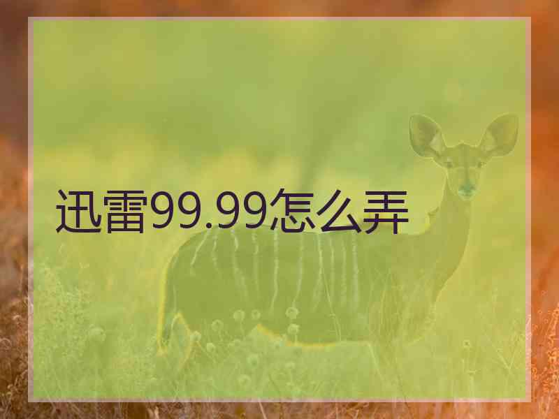 迅雷99.99怎么弄