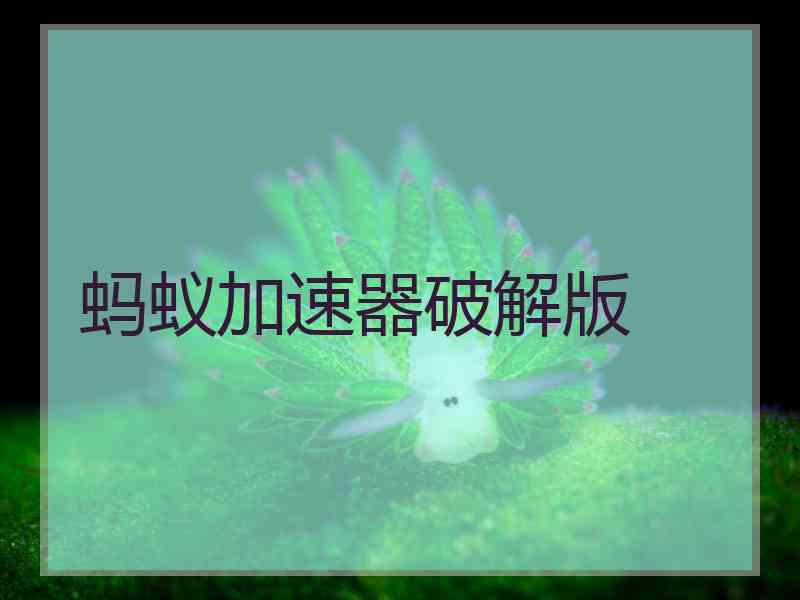蚂蚁加速器破解版