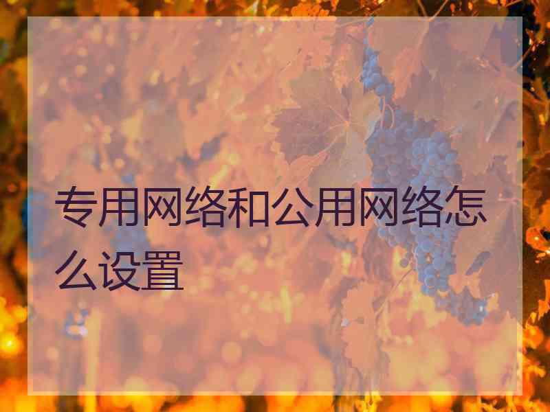 专用网络和公用网络怎么设置