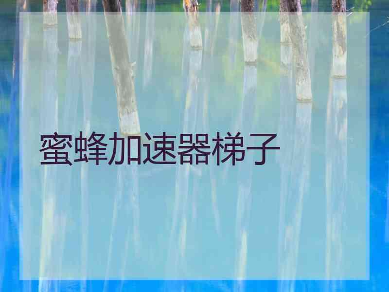 蜜蜂加速器梯子