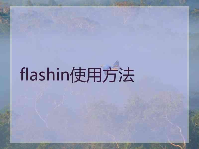 flashin使用方法