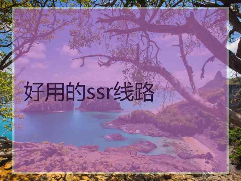 好用的ssr线路