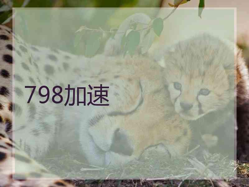798加速