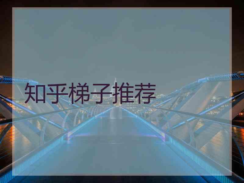 知乎梯子推荐