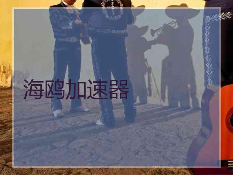 海鸥加速器 海鸥加速器